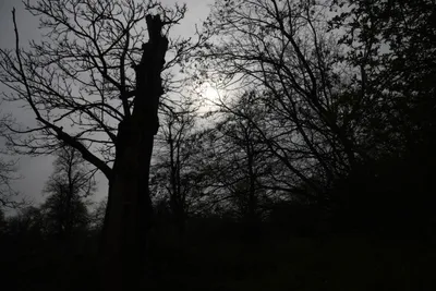 DSC_6919 (Large).JPG